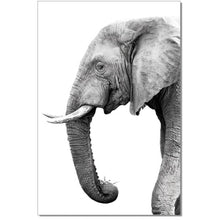 Black and White Elephant Print | innovatec Melbourne, Sydney, Adelaide, Brisbane and Perth