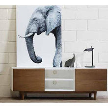 Black and White Elephant Print  - Concept | innovatec Melbourne, Sydney, Adelaide, Brisbane and Perth