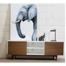 Potter Scandinavian Style TV Unit in Cocoa