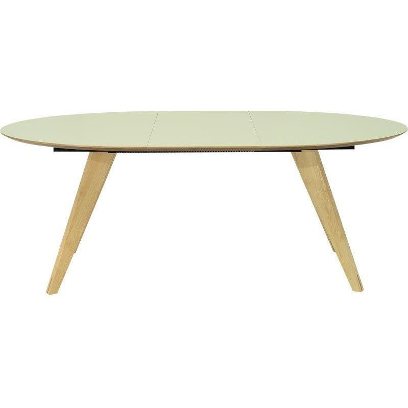Ryder Oval Extendable Table in Dust Green