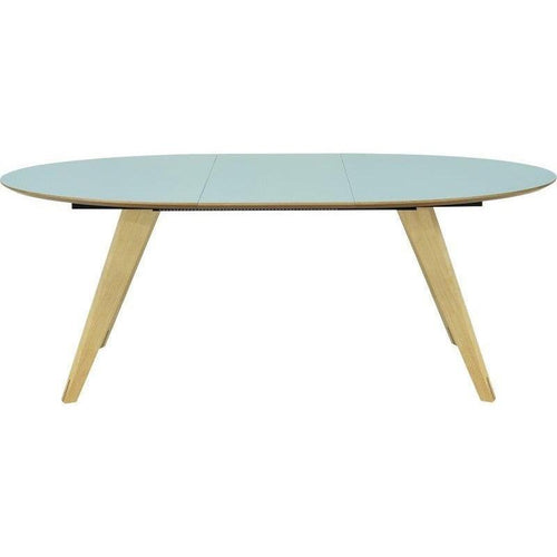 Ryder Oval Extendable Table in Dust Green