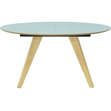 Ryder Oval Extendable Table in Dust Green
