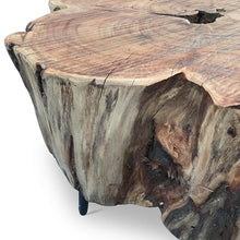 Mack Side Table -  Iron & Wood